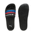 BMW M Motorsport Logo Leadcat 2.0 Slides