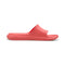 Divecat V2 Lite Slides