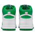 Nike Dunk High