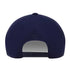 VECTOR BASEBALL CAP